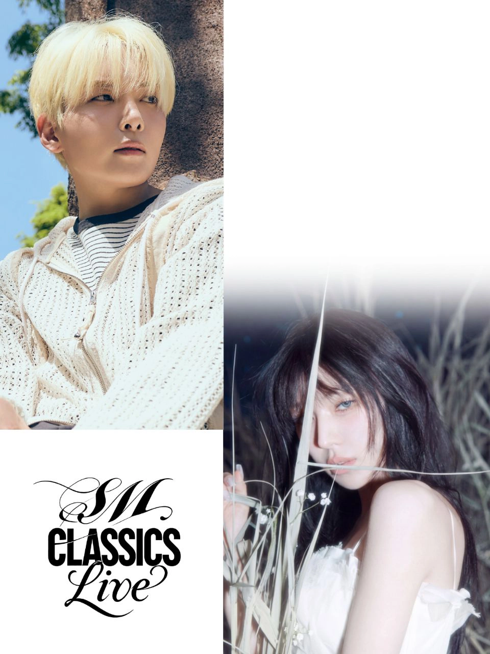 Hankyung arte Philharmonic X SM Classics: K-pop Concert